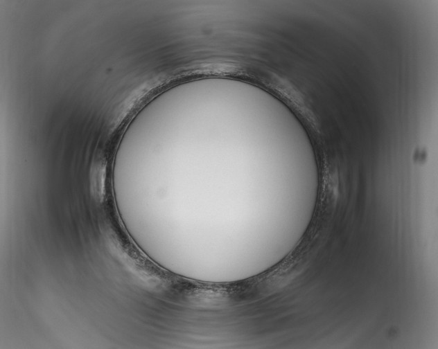 X0000115780110200911271213