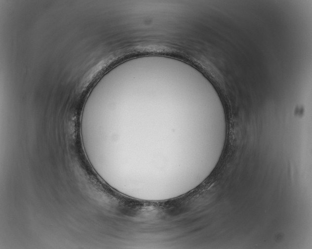 X0000115780111200911271213