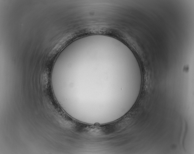 X0000115780113200911271213