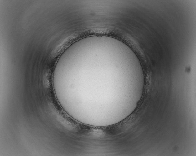 X0000115780114200911271213