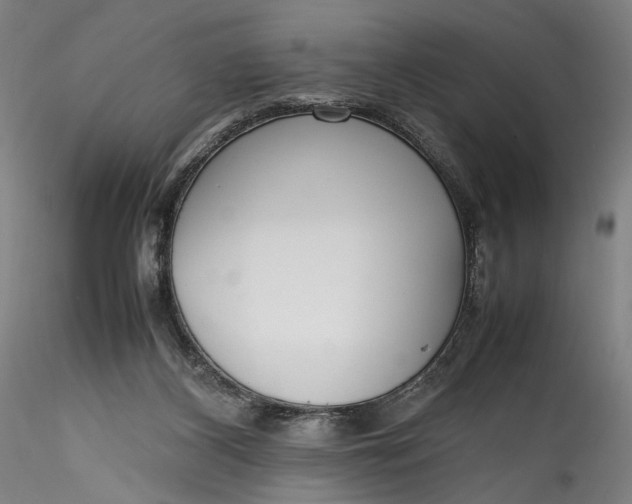 X0000115780116200911271213