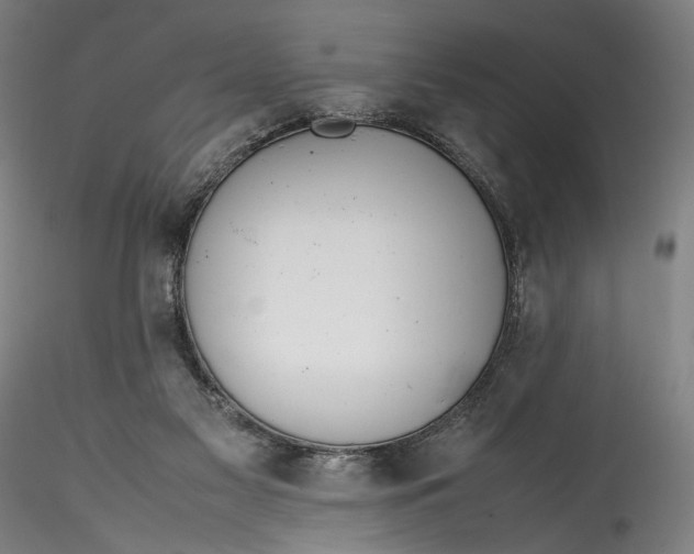 X0000115780117200911271213