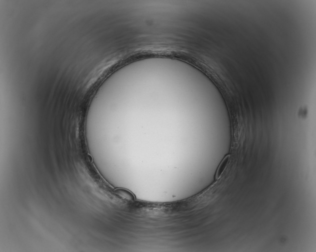 X0000115780120200911271213