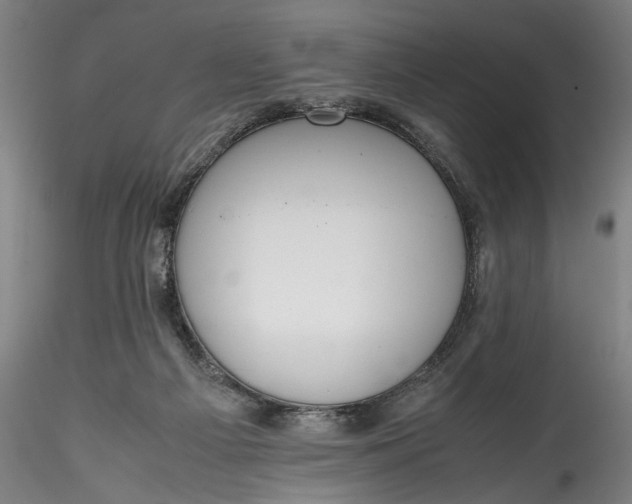 X0000115780121200911271213