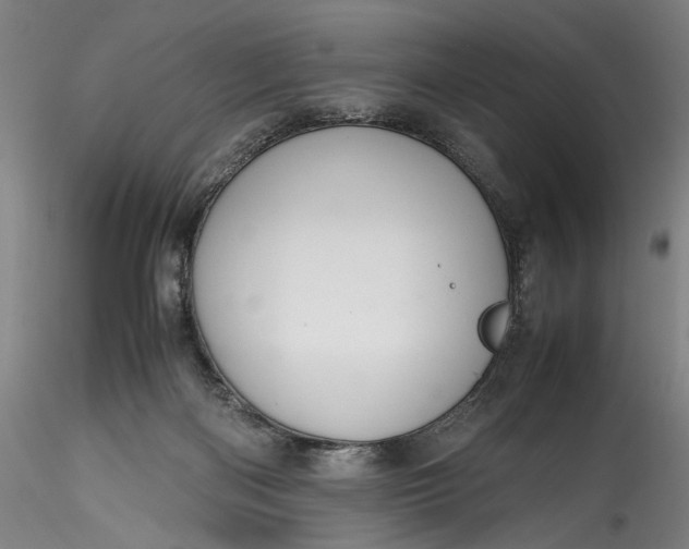 X0000115780122200911271213