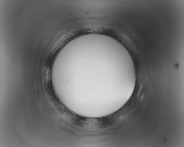 X0000115780123200911271213