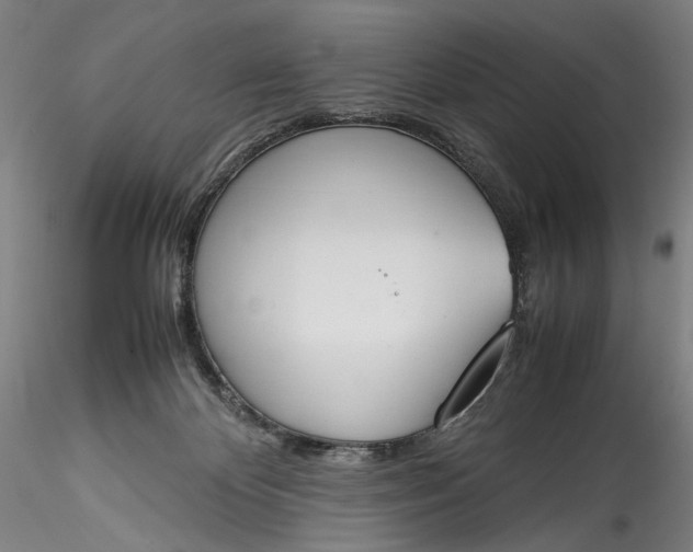 X0000115780124200911271213