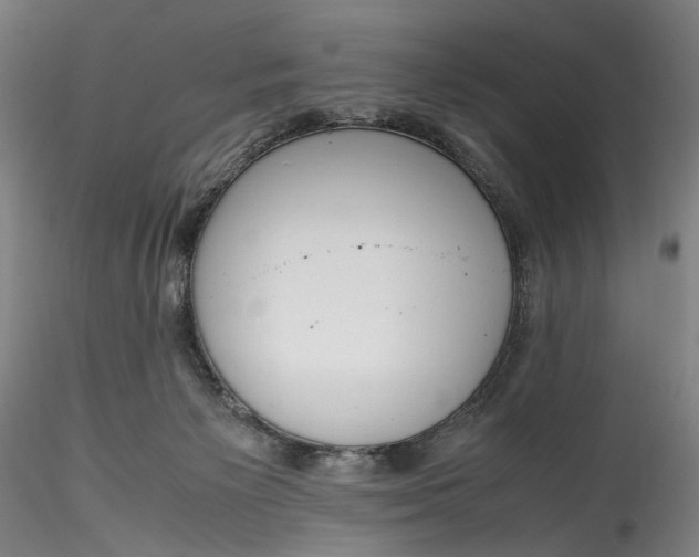 X0000115780125200911271213