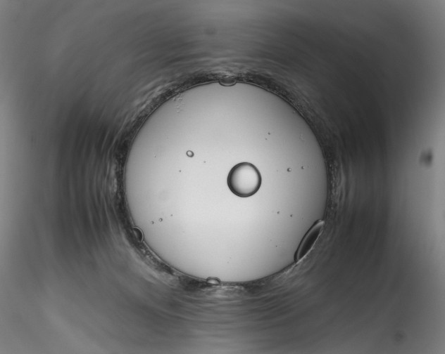 X0000115780128200911271212