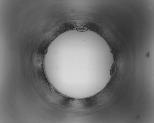 X0000115780129200911271212