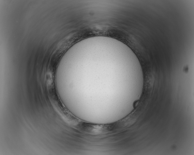 X0000115780130200911271212