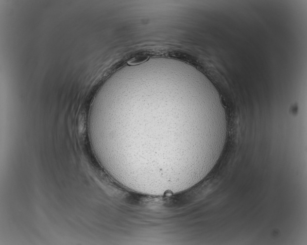 X0000115780131200911271212