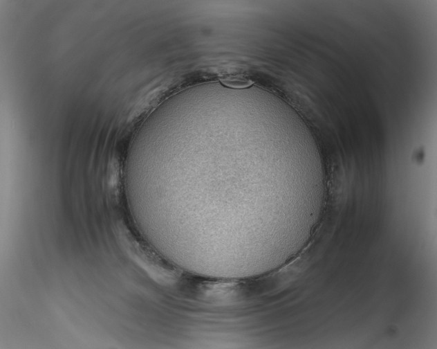 X0000115780132200911271212