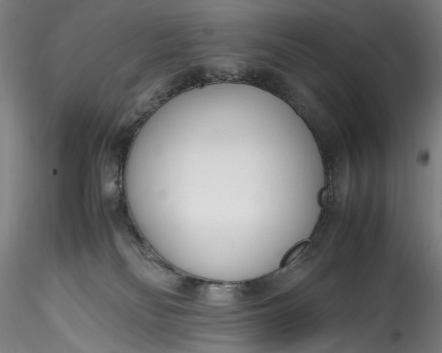 X0000115780134200911271212