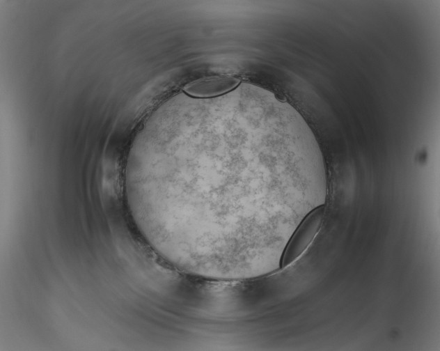 X0000115780136200911271212