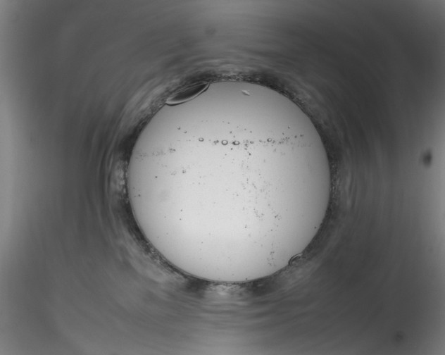 X0000115780137200911271212