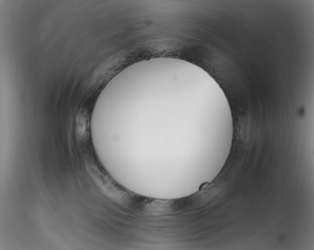 X0000115780138200911271212