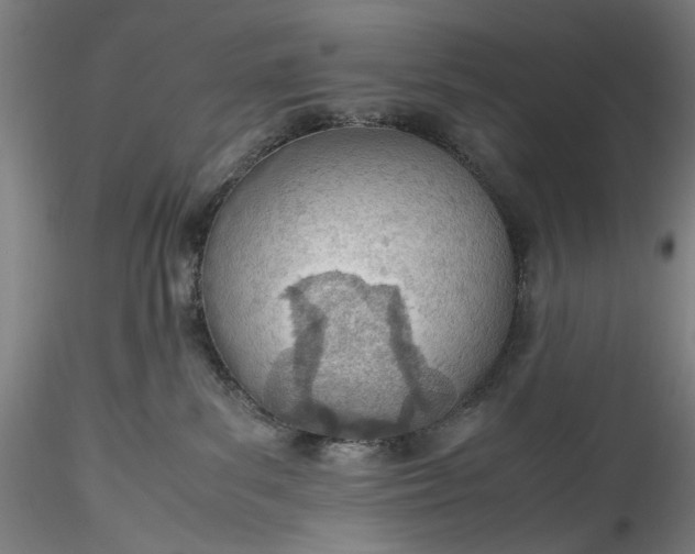 X0000115780139200911271212