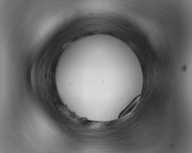 X0000115780140200911271212