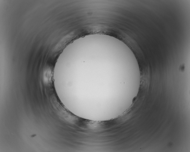 X0000115780142200911271212