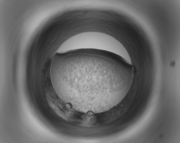 X0000115780143200911271212