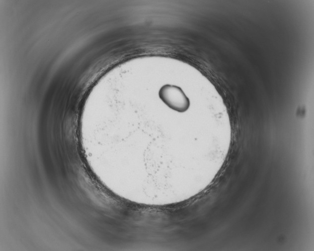 X0000115780146200911271212