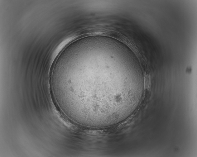 X0000115780147200911271212