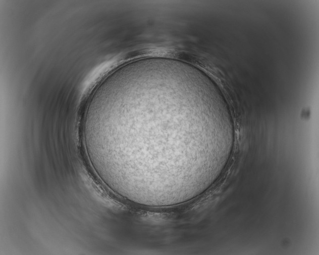 X0000115780149200911271212