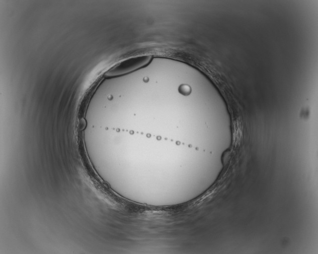 X0000115780150200911271212