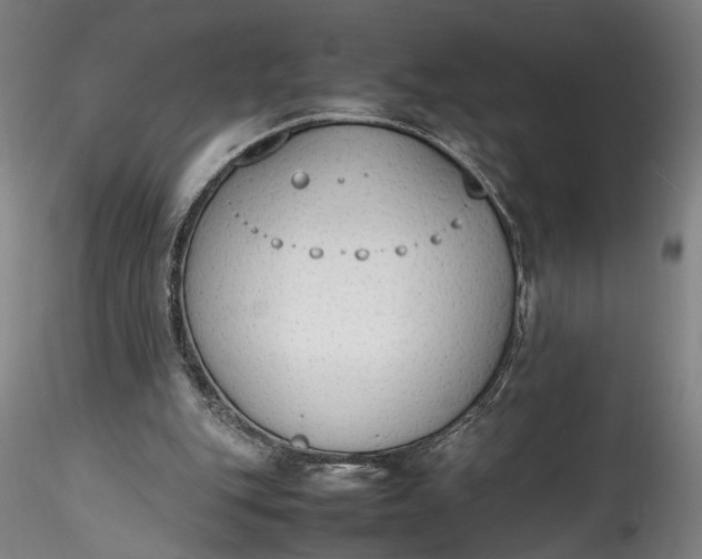 X0000115780151200911271212