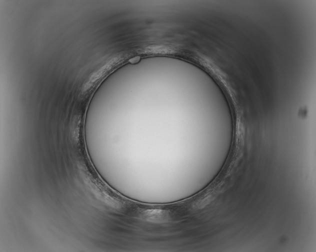 X0000115780153200911271212