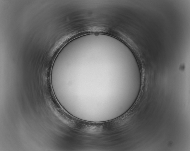 X0000115780155200911271212