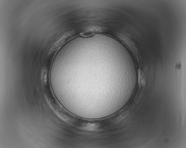 X0000115780157200911271212