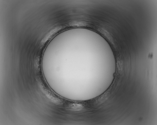 X0000115780159200911271212