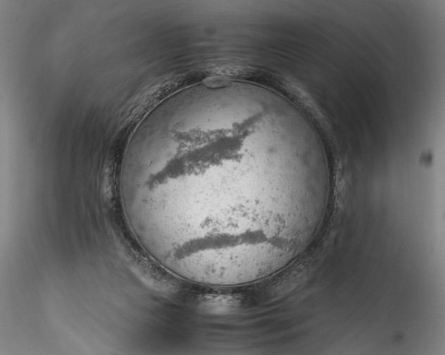 X0000115780161200911271212