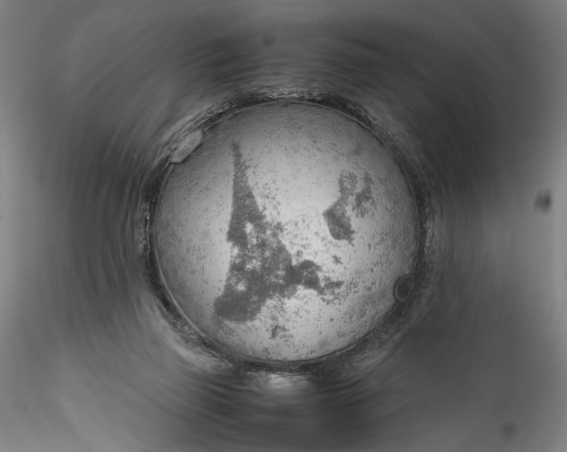 X0000115780165200911271212