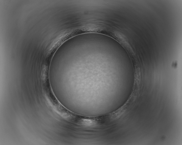 X0000115780167200911271212