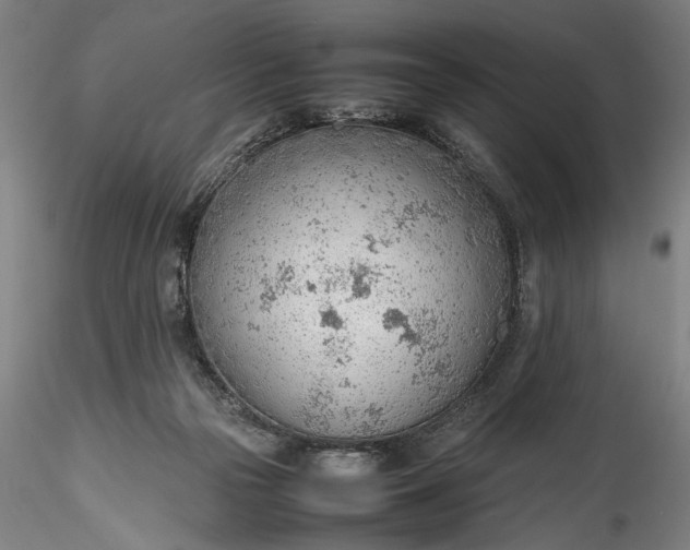 X0000115780169200911271212