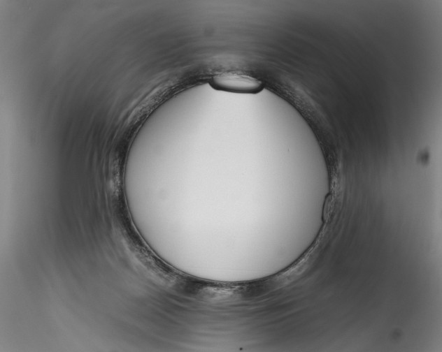 X0000115780170200911271212