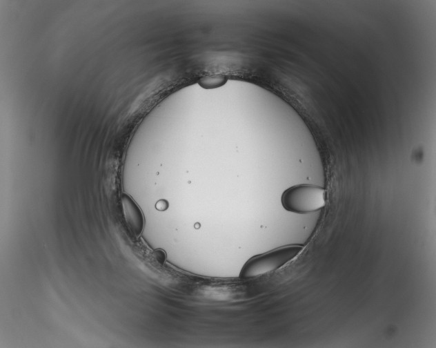 X0000115780171200911271212