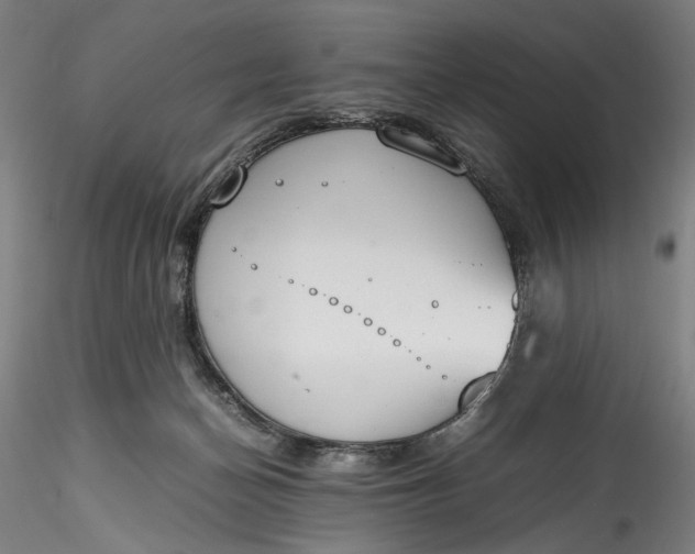 X0000115780174200911271212