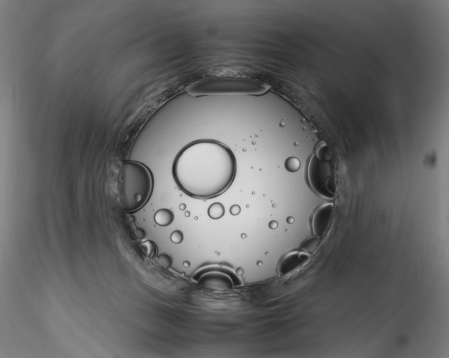 X0000115780175200911271212