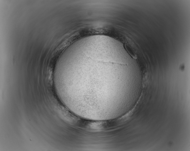 X0000115780178200911271212