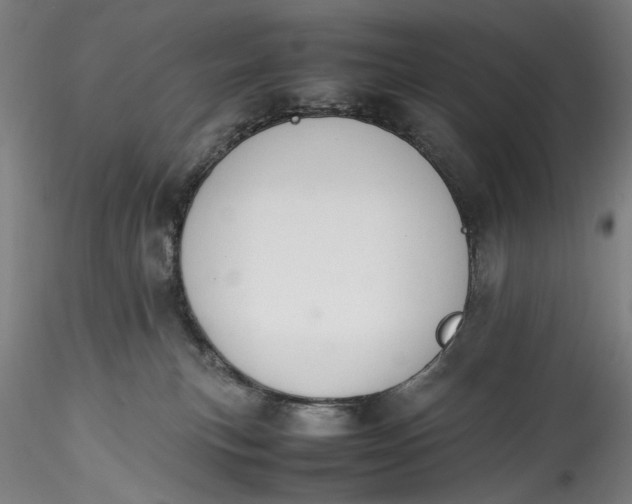 X0000115780183200911271212