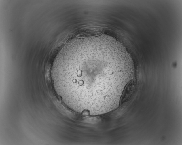 X0000115780185200911271212