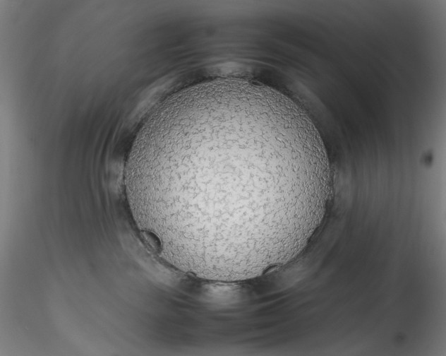 X0000115780189200911271212