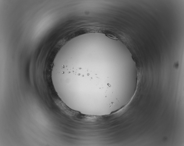 X0000115780190200911271212