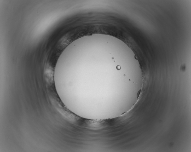 X0000115780191200911271212