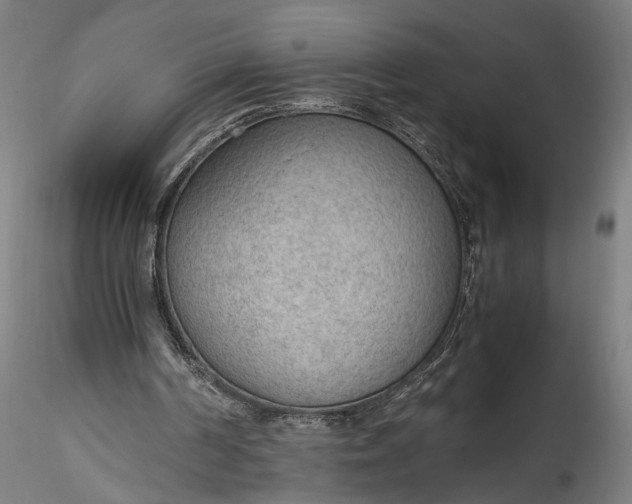 X0000115780194200911271212