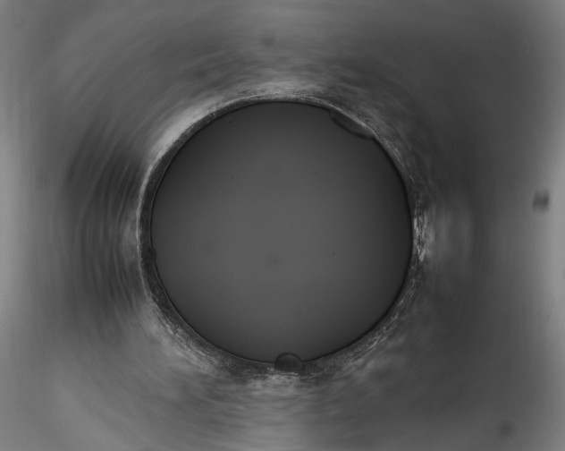 X0000115780196200911271212